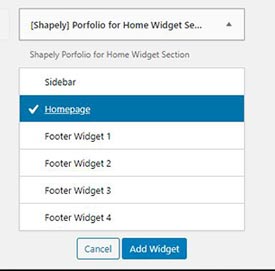 Add portfolio widget to Homepage